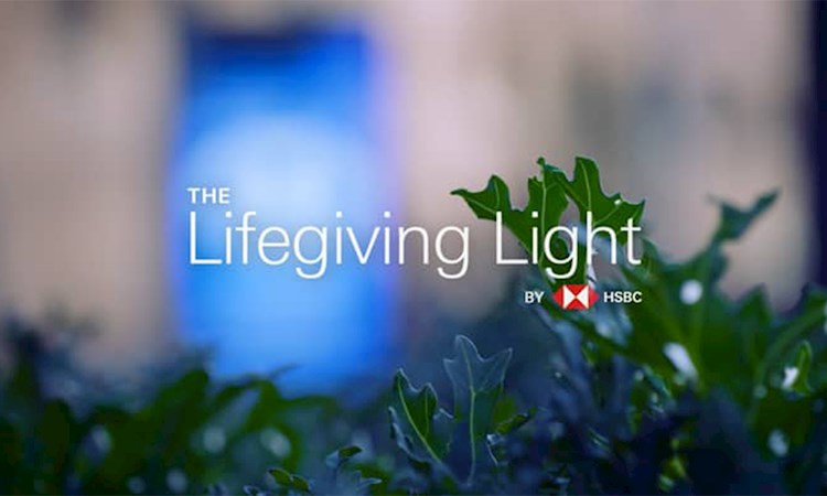 Image with HSBC logo and text saying 'Life Giving Light' 