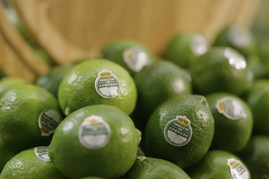 Pile of limes with stickers on them