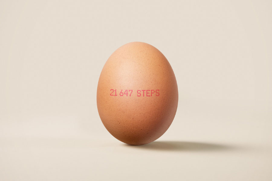 Egg with step count on it