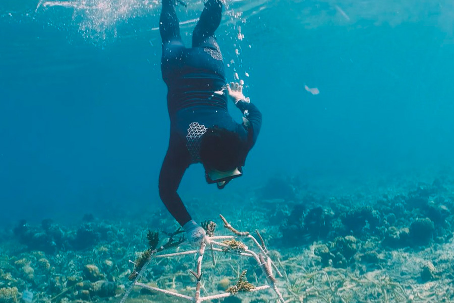 Scuba diver placing reef on the floor of the ocean