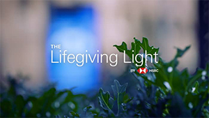 HSBC logo and 'Lifegiving Light' text