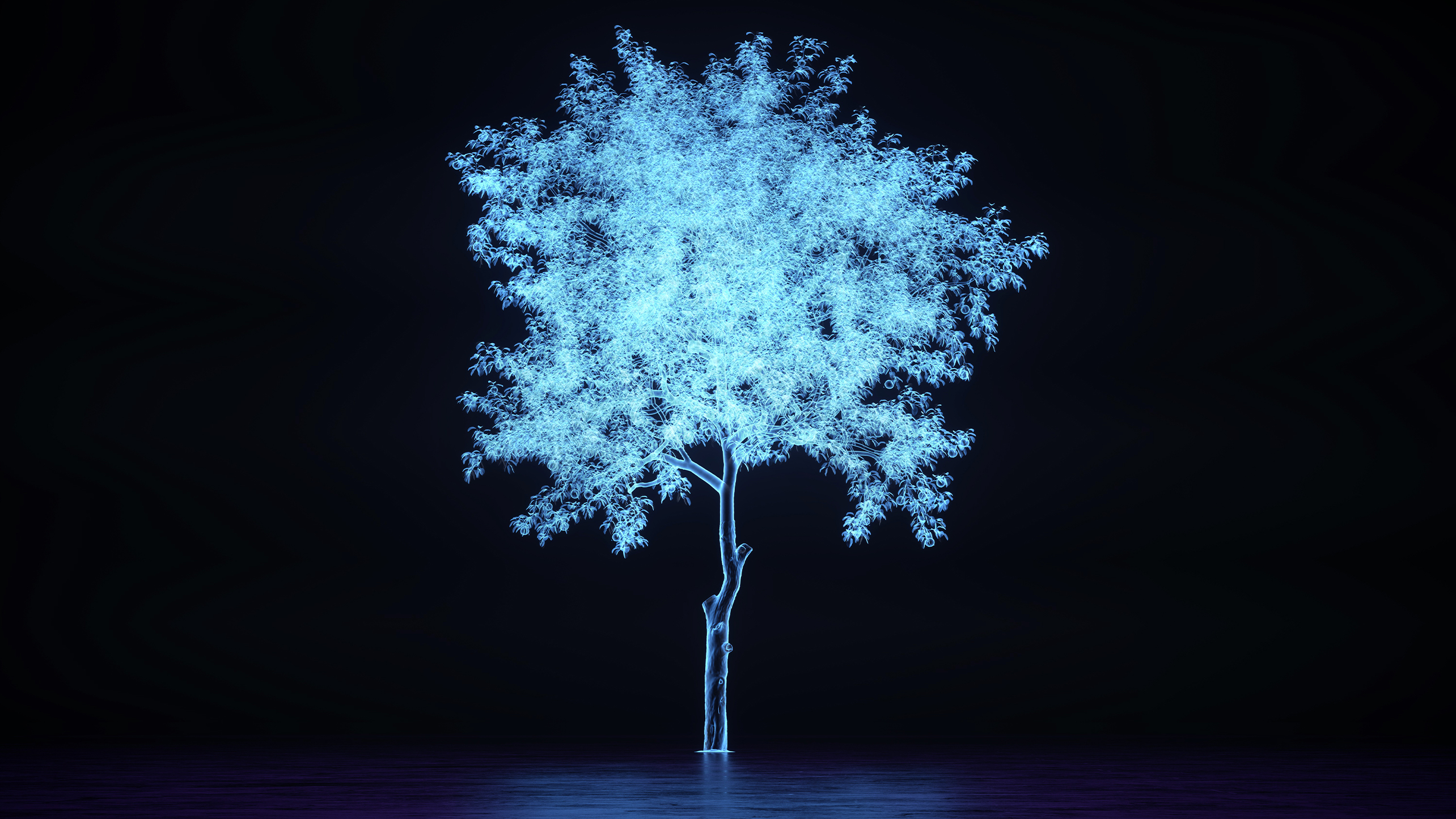 Glowing tree hologram